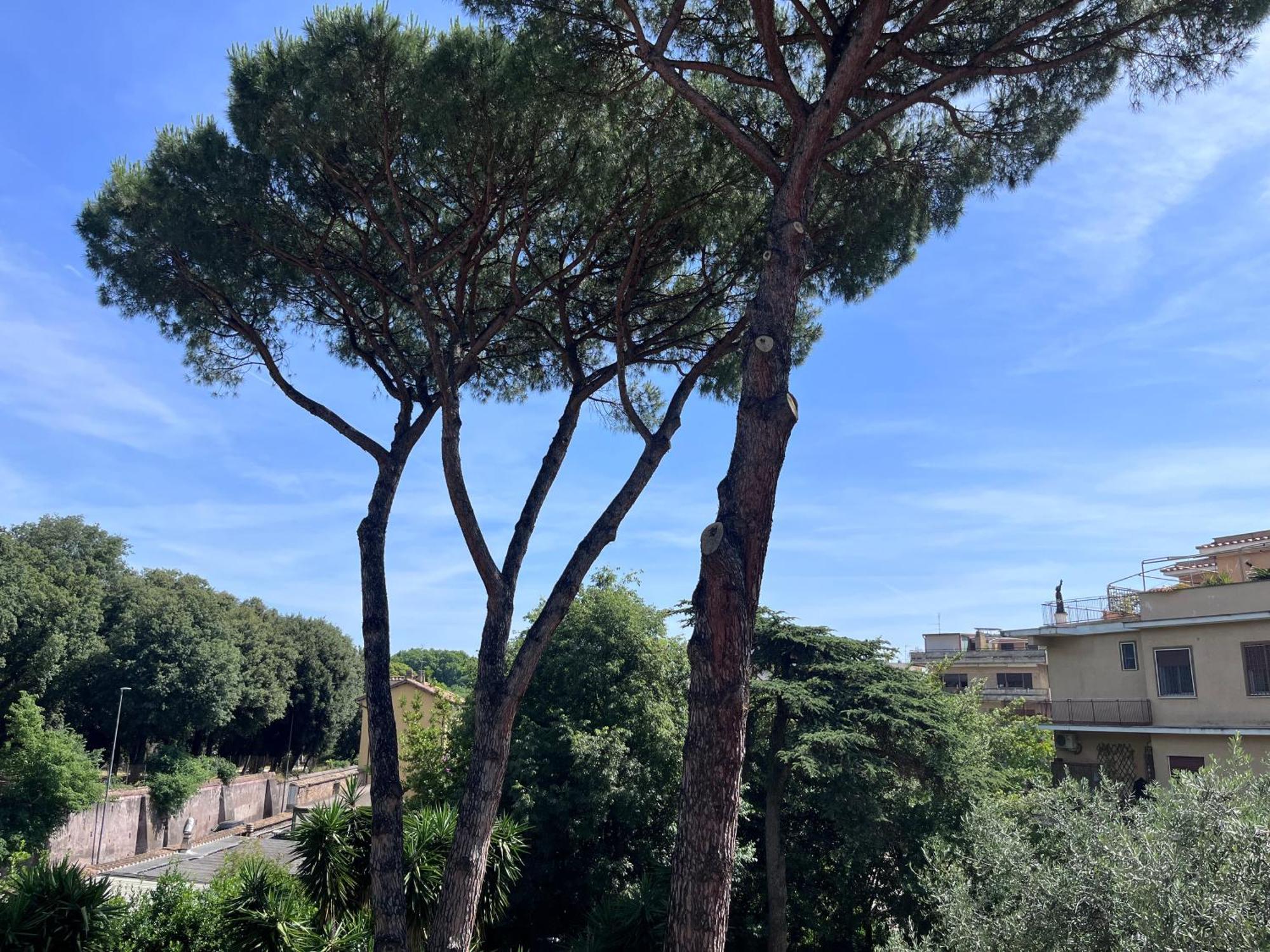 Green Park San Pancrazio — Foto 2